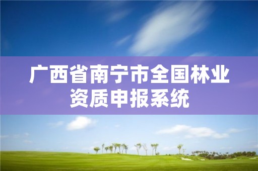 广西省南宁市全国林业资质申报系统