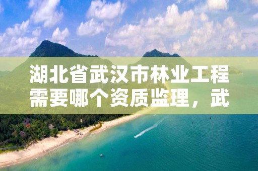 湖北省武汉市林业工程需要哪个资质监理,武汉林业公司有哪些
