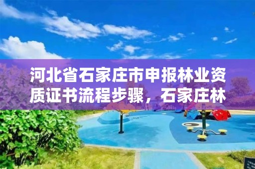 河北省石家庄市申报林业资质证书流程步骤，石家庄林业厅