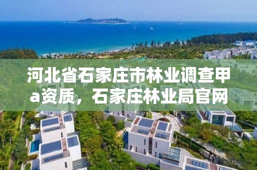 河北省石家庄市林业调查甲a资质，石家庄林业局官网