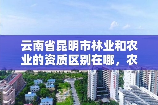 云南省昆明市林业和农业的资质区别在哪,农业林业