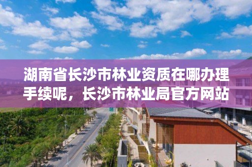 湖南省长沙市林业资质在哪办理手续呢,长沙市林业局官方网站