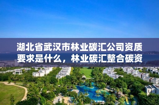 湖北省武汉市林业碳汇公司资质要求是什么,林业碳汇整合碳资管上市公司