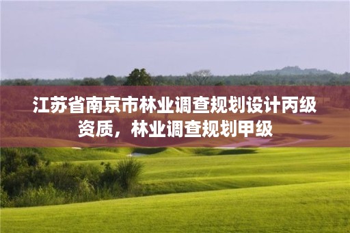 江苏省南京市林业调查规划设计丙级资质,林业调查规划甲级
