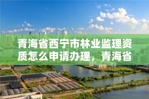 青海省西宁市林业监理资质怎么申请办理，青海省林业工程监理中心是国有企业吗