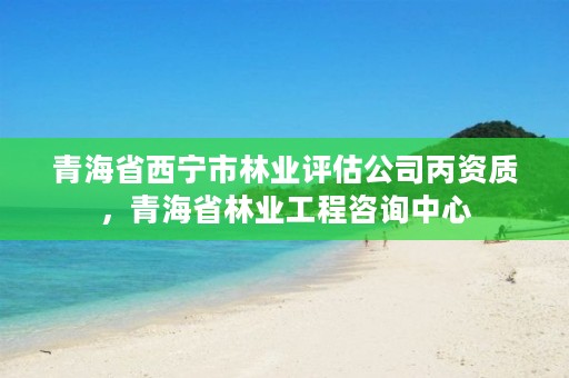 青海省西宁市林业评估公司丙资质，青海省林业工程咨询中心