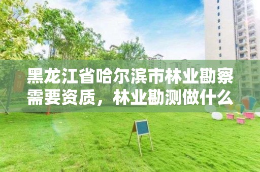 黑龙江省哈尔滨市林业勘察需要资质,林业勘测做什么