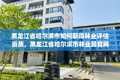 黑龙江省哈尔滨市如何取得林业评估资质,黑龙江省哈尔滨市林业局官网