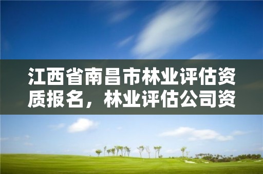 江西省南昌市林业评估资质报名,林业评估公司资质