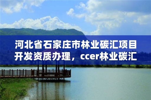 河北省石家庄市林业碳汇项目开发资质办理，ccer林业碳汇项目类型
