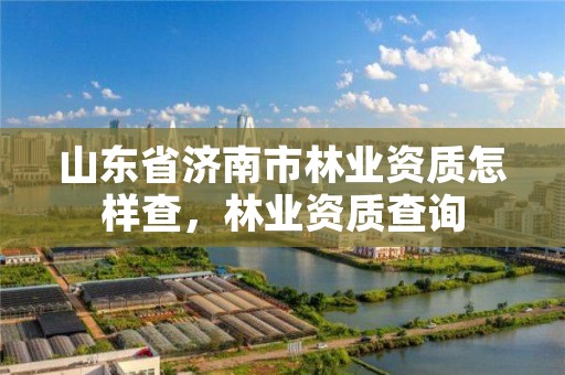 山东省济南市林业资质怎样查,林业资质查询