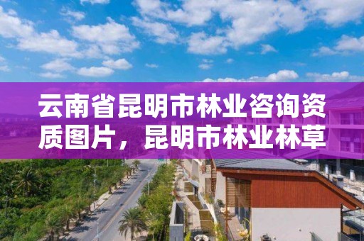 云南省昆明市林业咨询资质图片,昆明市林业林草局