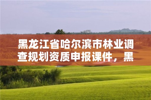 黑龙江省哈尔滨市林业调查规划资质申报课件,黑龙江省林业调查设计研究院