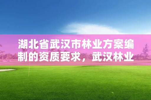 湖北省武汉市林业方案编制的资质要求，武汉林业调查规划院