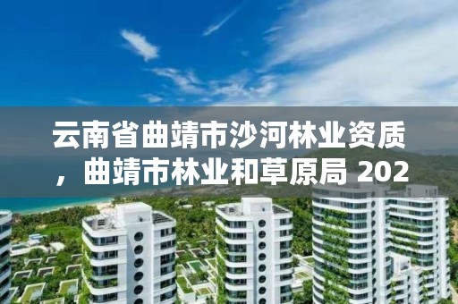 云南省曲靖市沙河林业资质,曲靖市林业和草原局 2020年招聘人员岗位表