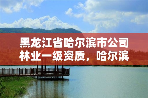 黑龙江省哈尔滨市公司林业一级资质,哈尔滨林业服务总站