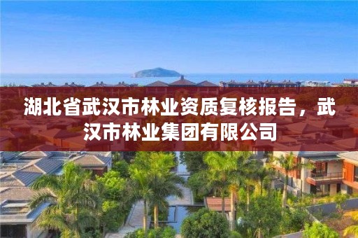 湖北省武汉市林业资质复核报告，武汉市林业集团有限公司