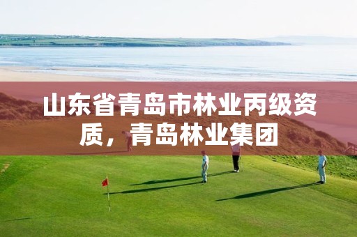 山东省青岛市林业丙级资质,青岛林业集团