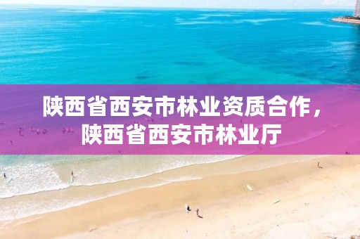 陕西省西安市林业资质合作，陕西省西安市林业厅