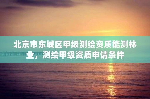 北京市东城区甲级测绘资质能测林业,测绘甲级资质申请条件