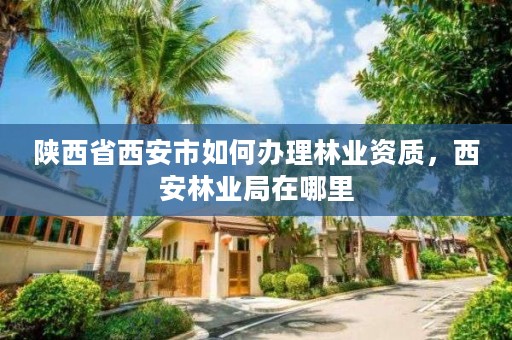 陕西省西安市如何办理林业资质,西安林业局在哪里
