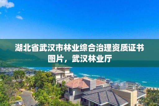 湖北省武汉市林业综合治理资质证书图片，武汉林业厅
