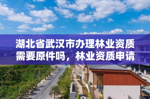 湖北省武汉市办理林业资质需要原件吗，林业资质申请