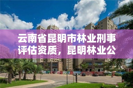 云南省昆明市林业刑事评估资质,昆明林业公司