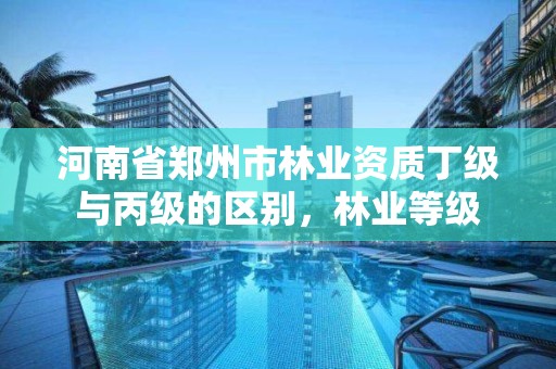 河南省郑州市林业资质丁级与丙级的区别,林业等级