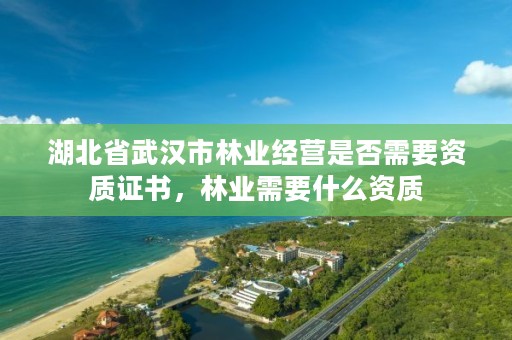 湖北省武汉市林业经营是否需要资质证书，林业需要什么资质