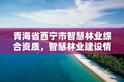 青海省西宁市智慧林业综合资质，智慧林业建设情况