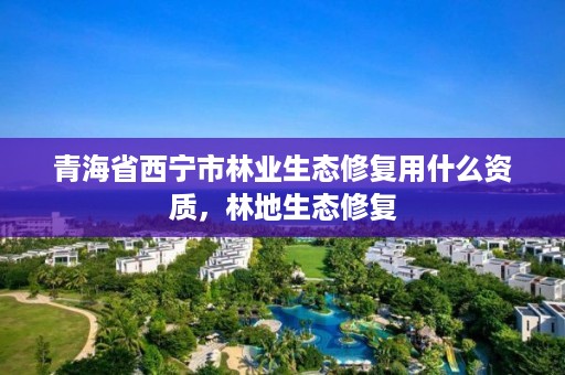 青海省西宁市林业生态修复用什么资质，林地生态修复