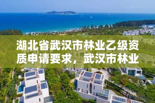 湖北省武汉市林业乙级资质申请要求,武汉市林业发展有限责任公司