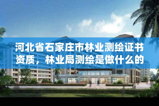 河北省石家庄市林业测绘证书资质，林业局测绘是做什么的