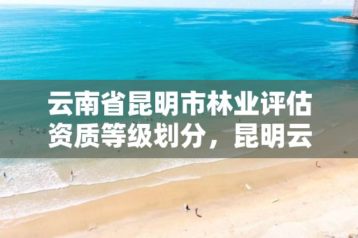 云南省昆明市林业评估资质等级划分,昆明云南省林业高级技工学校