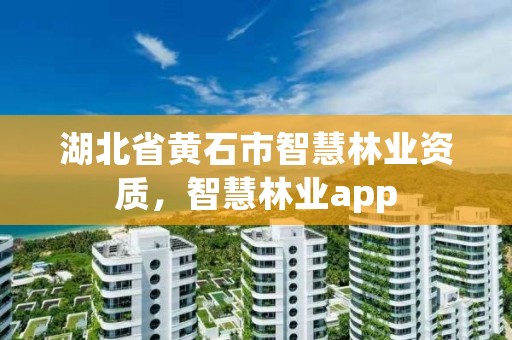 湖北省黄石市智慧林业资质,智慧林业app