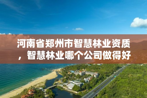 河南省郑州市智慧林业资质,智慧林业哪个公司做得好