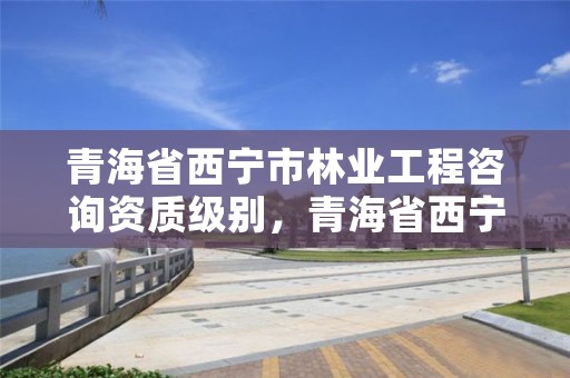 青海省西宁市林业工程咨询资质级别,青海省西宁市林业工程咨询资质级别是什么