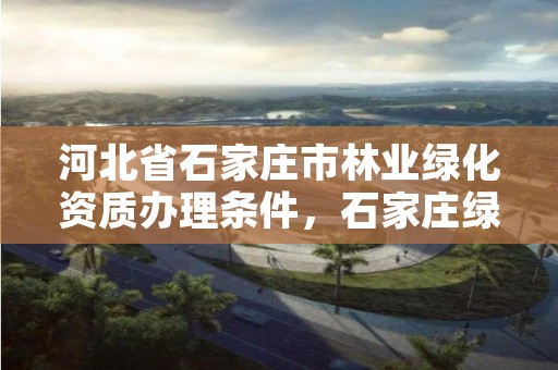 河北省石家庄市林业绿化资质办理条件，石家庄绿化树
