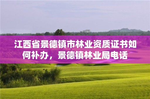 江西省景德镇市林业资质证书如何补办,景德镇林业局电话