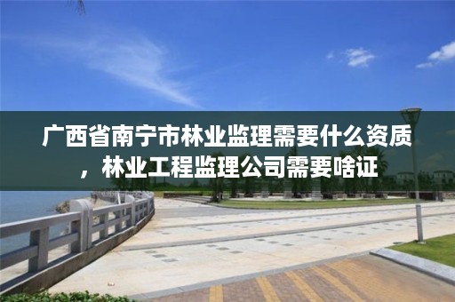广西省南宁市林业监理需要什么资质,林业工程监理公司需要啥证