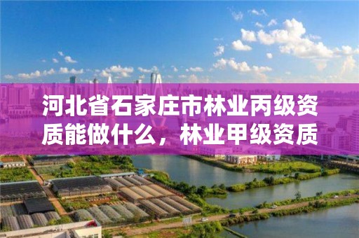 河北省石家庄市林业丙级资质能做什么，林业甲级资质