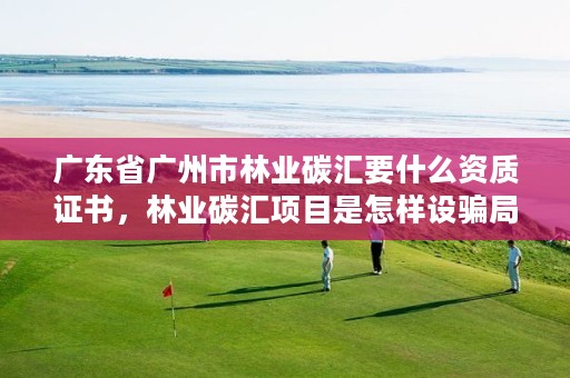 广东省广州市林业碳汇要什么资质证书,林业碳汇项目是怎样设骗局的