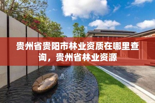 贵州省贵阳市林业资质在哪里查询,贵州省林业资源