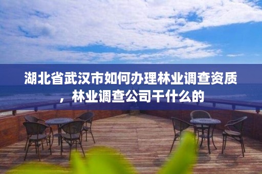湖北省武汉市如何办理林业调查资质,林业调查公司干什么的