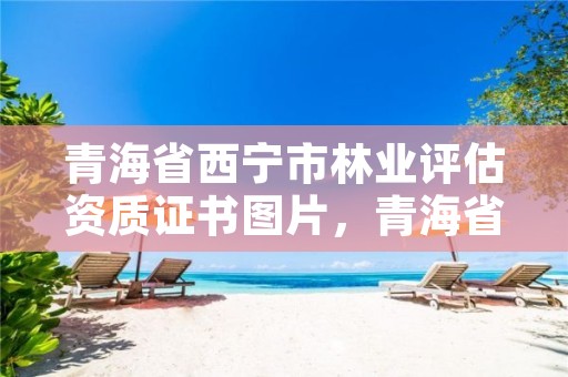 青海省西宁市林业评估资质证书图片,青海省林业和草原项目服务中心