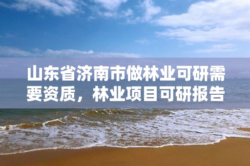山东省济南市做林业可研需要资质,林业项目可研报告编制规范