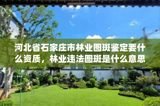 河北省石家庄市林业图斑鉴定要什么资质，林业违法图斑是什么意思