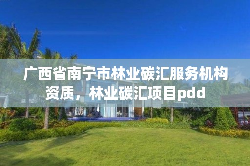 广西省南宁市林业碳汇服务机构资质,林业碳汇项目pdd