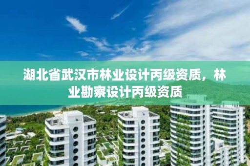 湖北省武汉市林业设计丙级资质，林业勘察设计丙级资质